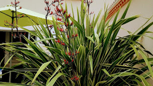 Photo n°18 de Les Trémières à Semussac (Chambre d'hôtes)