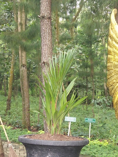 Photos of Salatiga Public Park