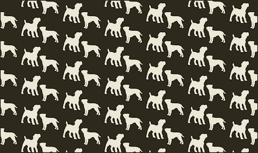 The Groomery Dog Spa