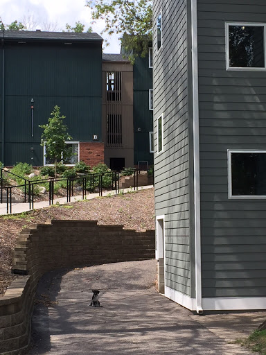 Arden Village East - Thumbnail