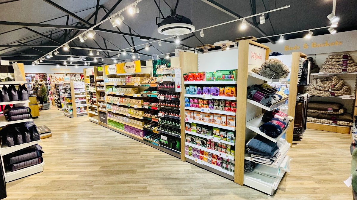 Pets Corner Horsham, Your Best Reviewed Local Pet Shop