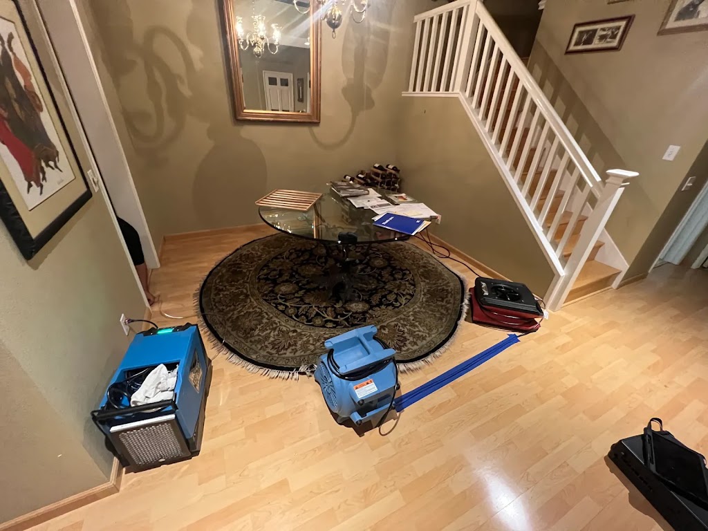 Rapid Disaster Restoration photo