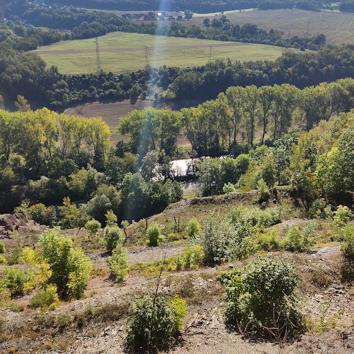 Gleitsch - Visual