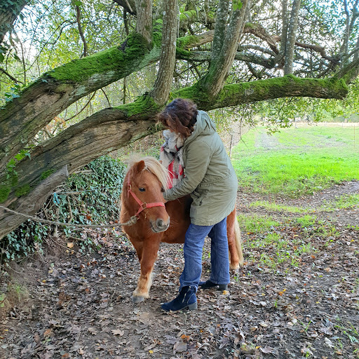 ANIMAUX ZEN VENDEE