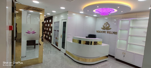 Meadows Wellness