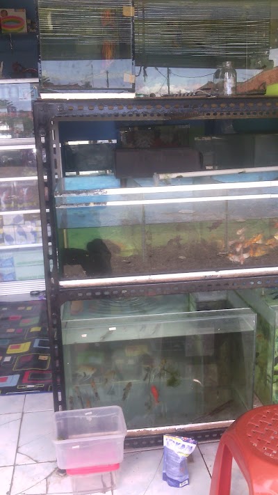 Photos of Daffa Aquarium