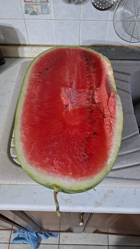 Frutmania - Visual