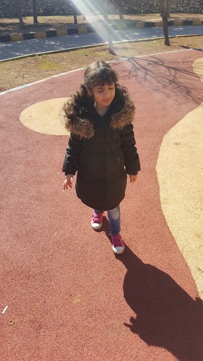 Photos of الحديقة المرورية