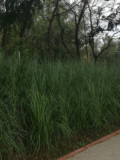 Photos of Cuarto Centenario Park