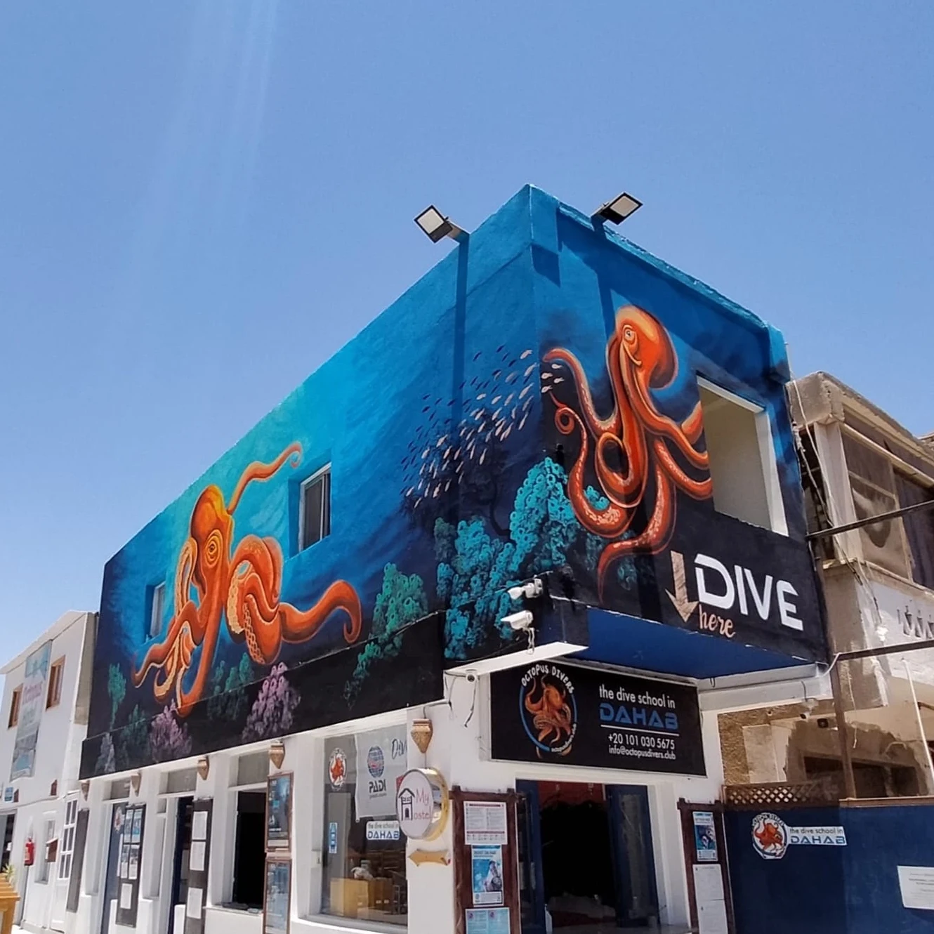 My - Hostel in Dahab / Dive Club