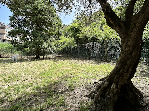 Area Cani Via Torelli - Thumbnail