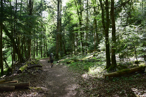 Camping Club Porrentruy - Thumbnail