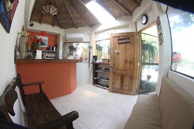 Photos of EQUUS ERRO HOSTERIA