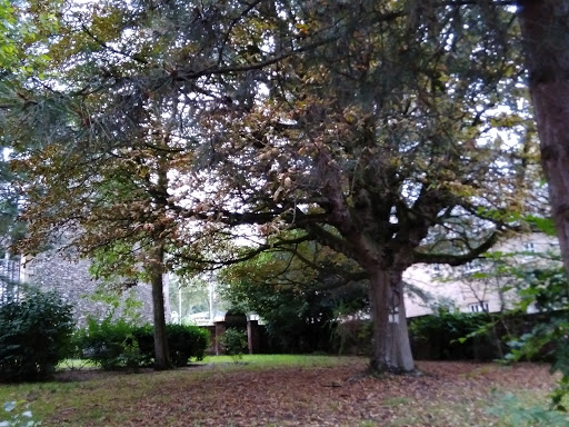 St Julian's - Thumbnail