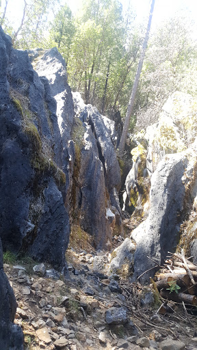 Zen Trail Trailhead - Thumbnail