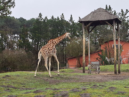 SAS Zoo de Bordeaux-Pessac - Thumbnail