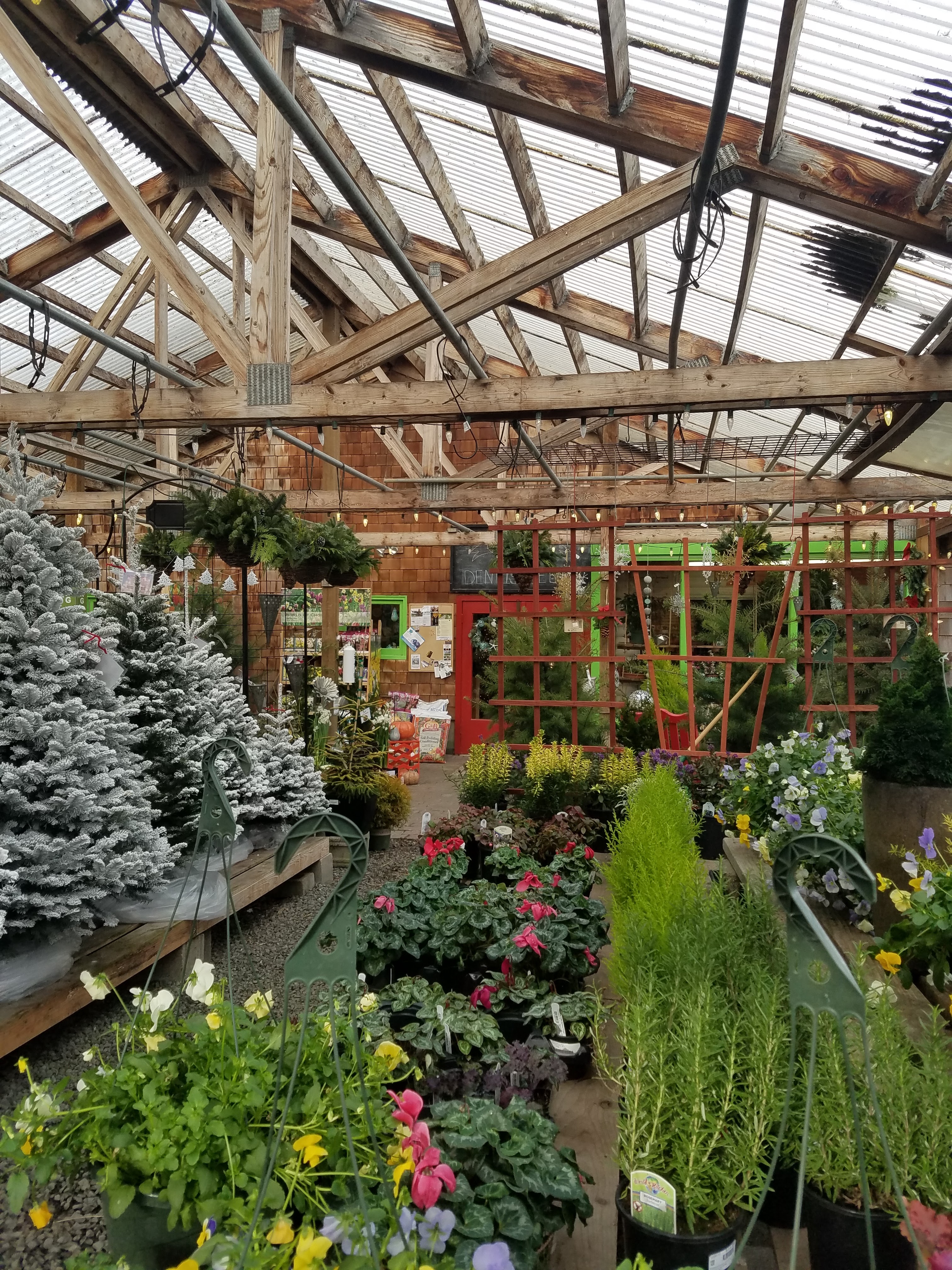 Dennis' 7 Dees Garden Center