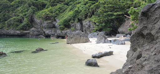 Independence Yacht Charter