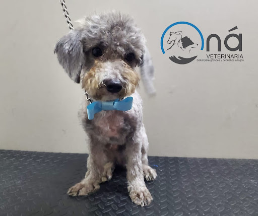 Veterinaria Oná