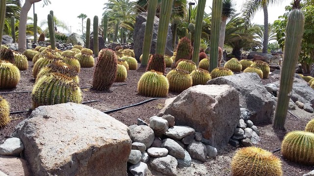 Holiday World Maspalomas