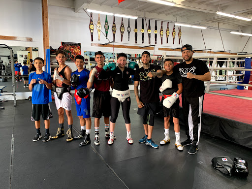 Bound Boxing - Visual