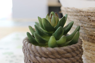 Photo n°22 de B&B Les Agriates à Besançon (Gîte)