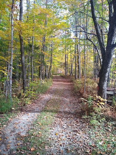 Maple Hill Campsites