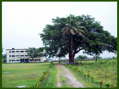 university