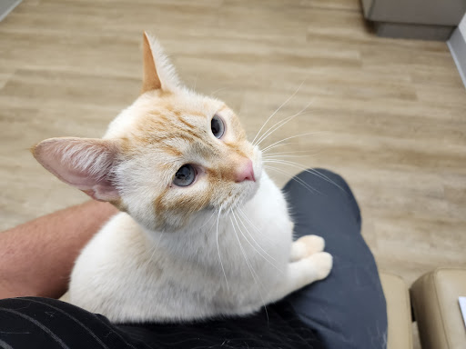 Twin Oaks Animal Hospital - Thumbnail