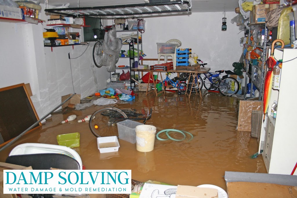Damp Solving Water & Mold photo