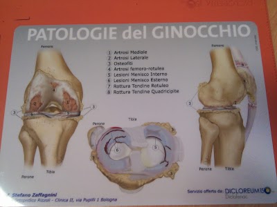 Dott.ssa Paola Palma - Fisioterapista e Kinesiologa