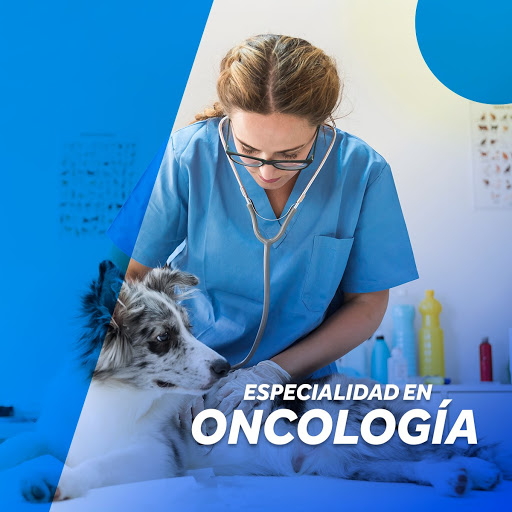 CENTRO VETERINARIO PUEBLA (Hospital Veterinario en Puebla)