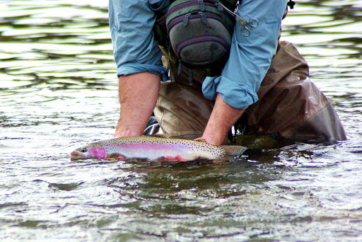 We Sport Fish Gallery - Canada