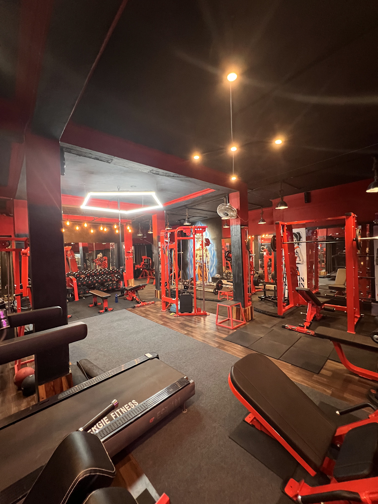 The Fitness Studio