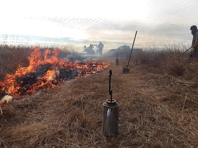 Lake Iowa Park (Iowa County Conservation)