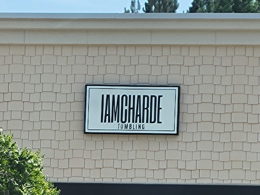 IAMCHARDE TUMBLING - Thumbnail