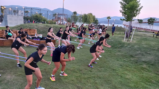 Fethiye Voleybol Spor Kulübü