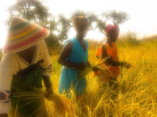 Africa-Point, wyprawy i ekscytujące wycieczki do Afryki - Dominik Skurzak