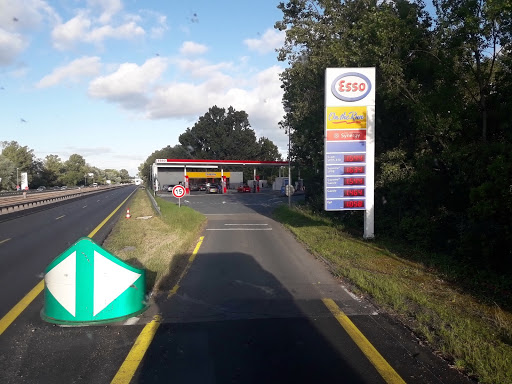 Roc France - Thumbnail