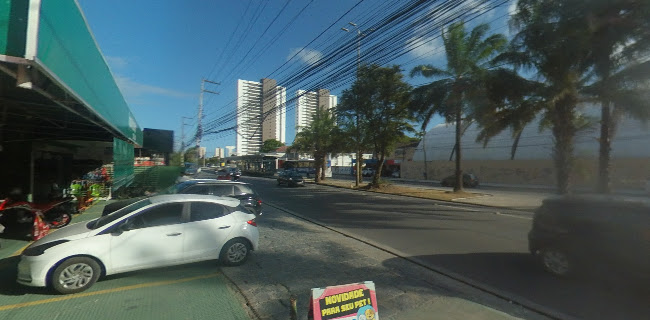 Número de telefone de Clinica Veterinaria do Recife Caxangá- AquiTemPe