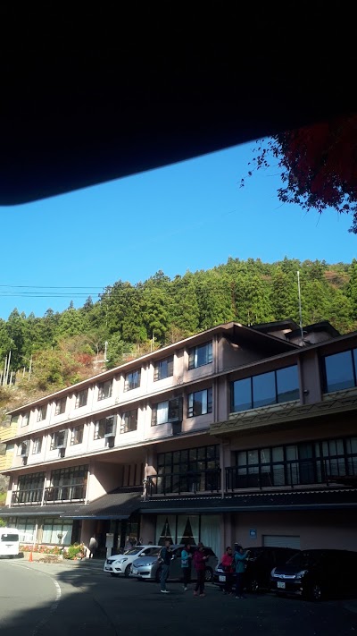 Photos of Shin Iya Onsen Hotel Kazurabashi