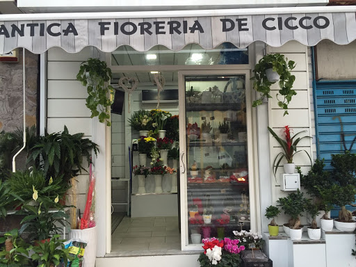 Antica Fioreria De Cicco
