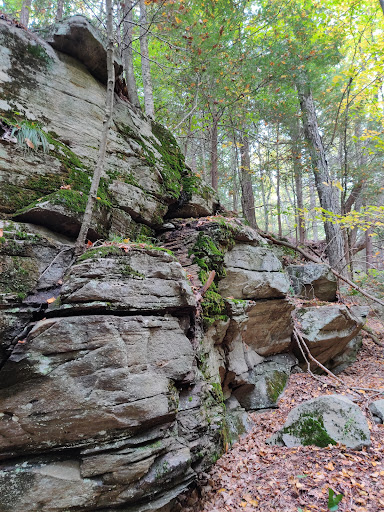 Rattlesnake Gutter Conservation Area Trail Head