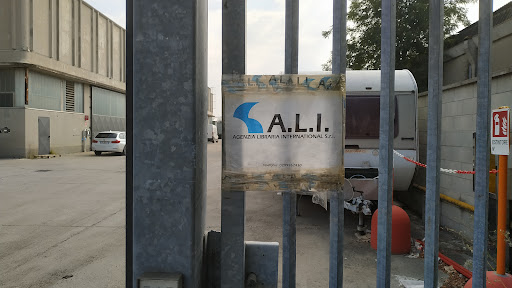 A.L.I. SRL - Visual