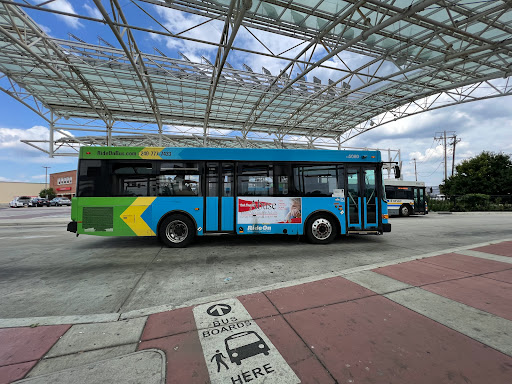 Takoma Langely Park Transit Center at Bus Bay B - Thumbnail
