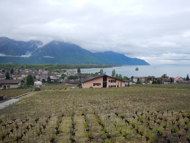 Domaine des Moines, Serge Diserens