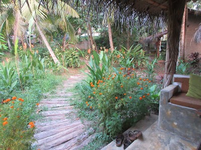 Photos of Dreamtime Sri Lanka