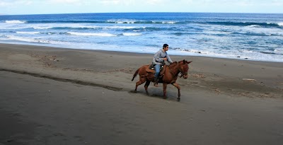 ‘Awahua Beach