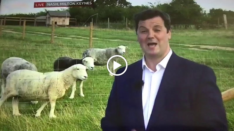 The Prospects Trust photo 2