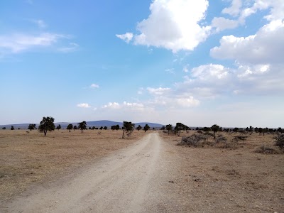 Photos of Ausquest Kenya Limited
